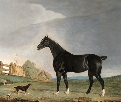 A dark bay horse and a terrier in a landscape by Edwin W. Cooper
